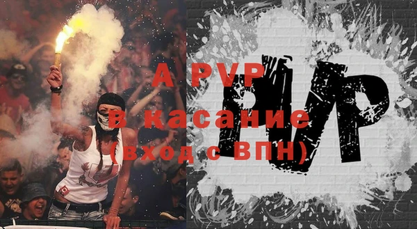 сатива Алзамай