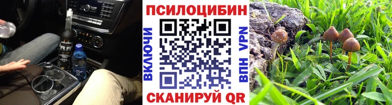 Галлюциногенные грибы мицелий  закладка  Новомичуринск 